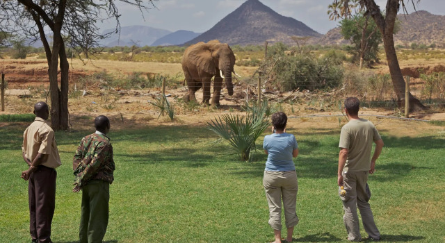 Двухместный номер Luxury Ashnil Samburu Camp