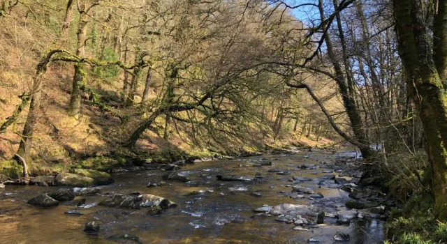 Enchanted Retreats at West Ford Devon, Book Hotel Hoteller i South Molton med parkering, Parkering