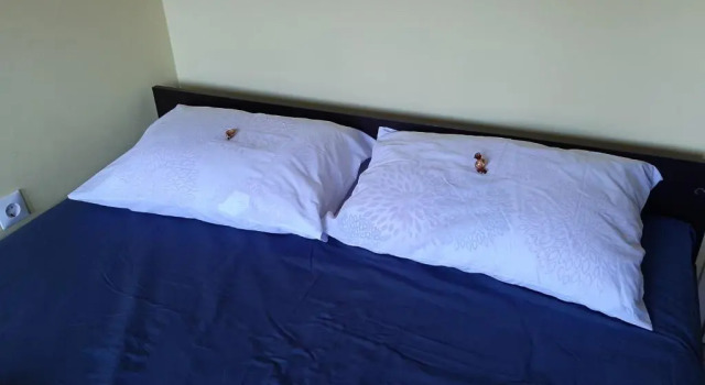 Apartman 015 LiVe, Rezervovat Apartmán Šabac 