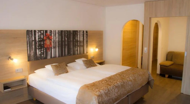 Двухместный номер Comfort Best Western Plus Schwarzwald Residenz