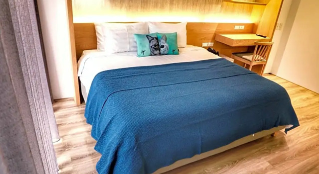 Номер Standard Doris Home