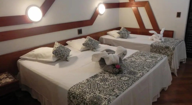 Номер Standard Serra Negra Paladium Hotel