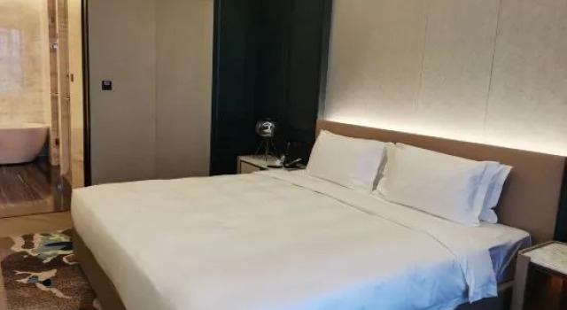 Люкс Presidential Hotels in Barcelona