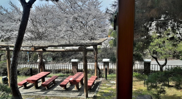 Номер Economy Hotel Jirisan Sunlight