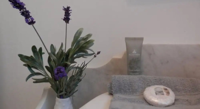 Номер Standard La Villa Aux Oliviers