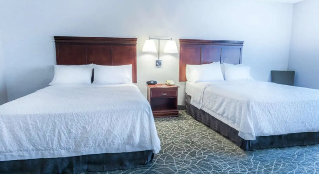 Номер Standard Hampton Inn & Suites Berkshires-Lenox