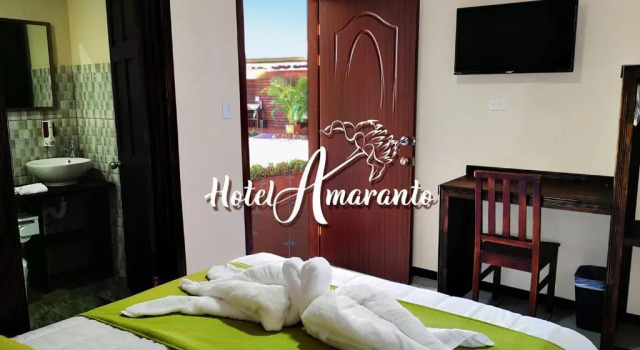 Номер Standard Hotel Amaranto