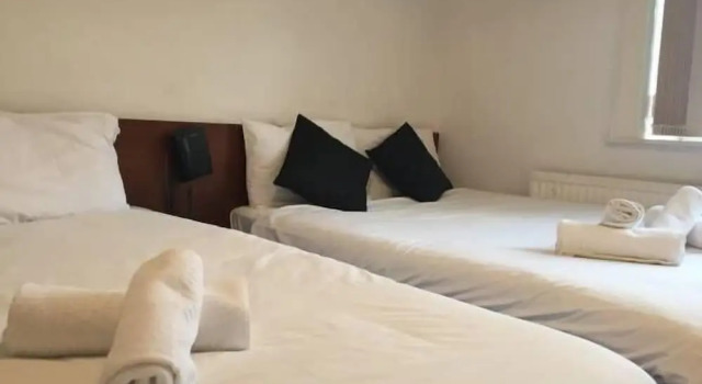 Трёхместный семейный номер Standard Healey Hotel