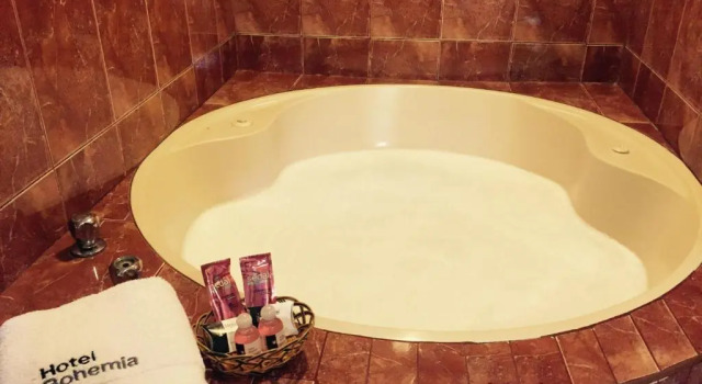 Одноместный номер Standard Hotel Bohemia