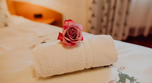 Двухместный номер Standard с видом на внутренний двор Panorama Hotel Gasthof Leidingerhof