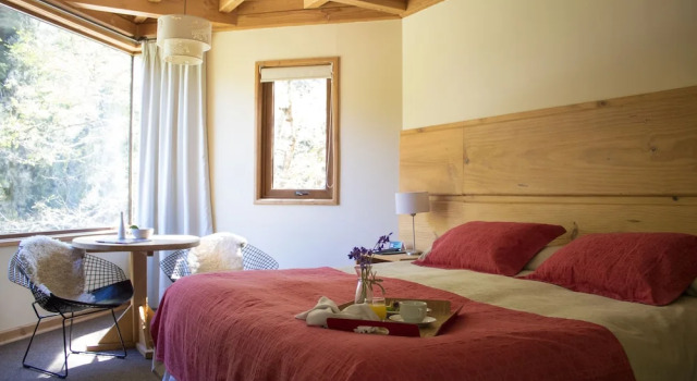 Номер Standard Hotel & Termas Huife