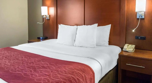 Номер Standard Comfort Inn & Suites San Francisco Airport North