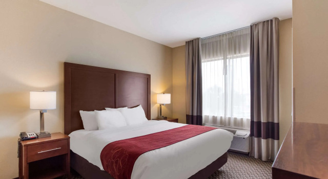Двухместный люкс Comfort Suites Saraland - North Mobile