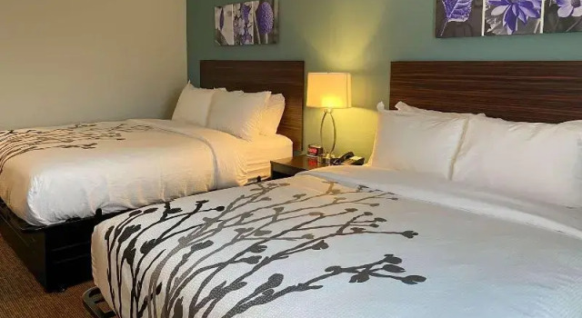 Номер Standard Sleep Inn Greensboro - Coliseum Area