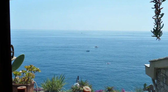 House Limone