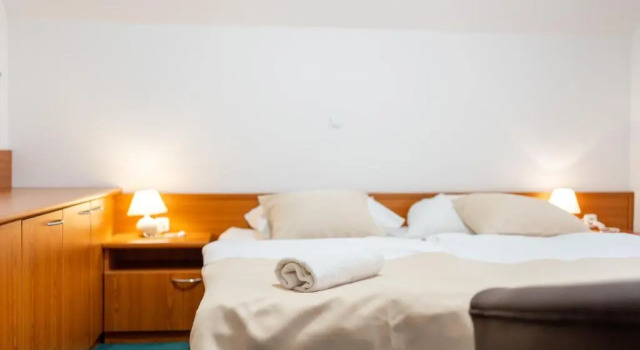 Двухместный номер Standard Hotel Tisa Pohorje