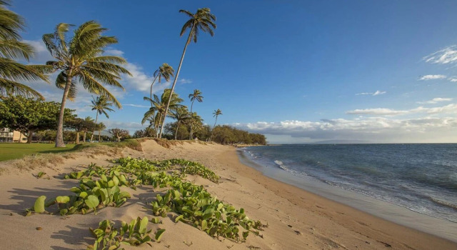 Maui Sunset B402 Condo, Забронировать Отель Кихеи Мауи
