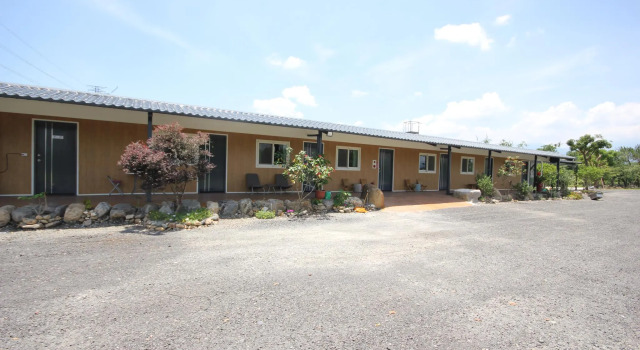 The Green Field