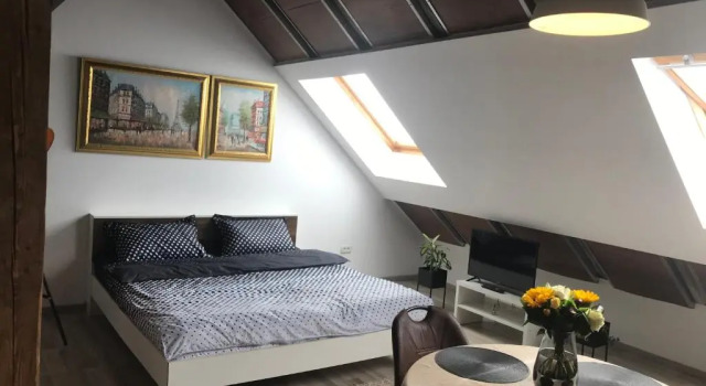 Savoya nr2 Loft Studio Old City Center Self check-in Workspace, Забронировать Апартаменты/квартира Апартаменты Тимишоары, рядом с Huniade Castle, Апартаменты/квартира