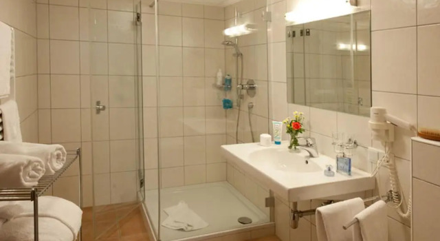Трёхместный номер Standard Hotel Zum Hirschen