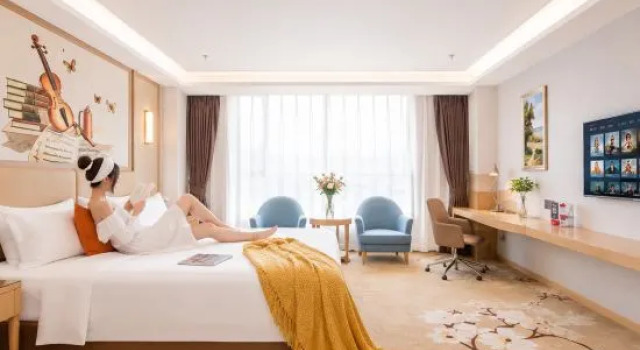 Люкс Standard Vienna Hotel (Foshan West Railway Station Airport Branch)