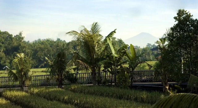 Villa Levi, Prenota Villa Pererenan Bali