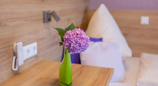 Номер Семейный Hotel Reinhardtshof Garni