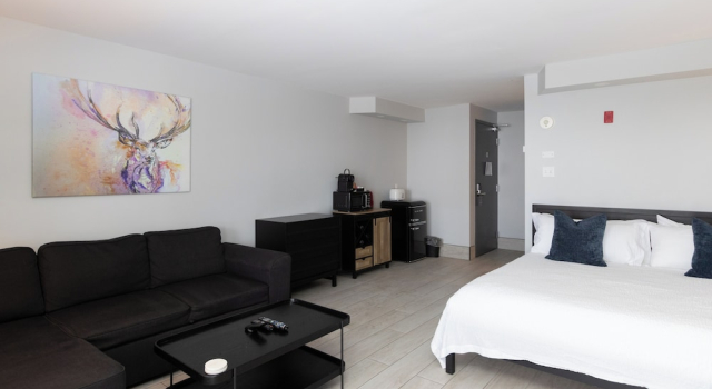 Standard Studio Terrace Suites