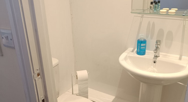 Standard- dobbelt værelse med parkudsigt Bristol Hotel