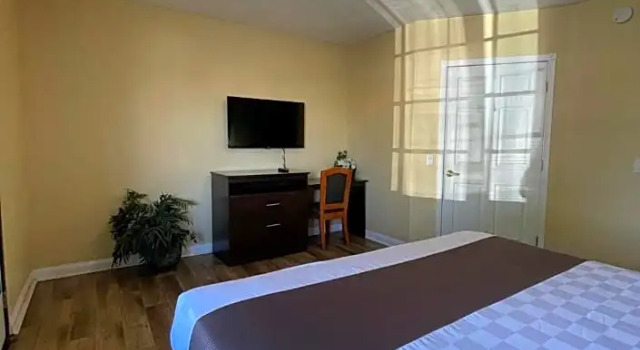 Двухместный номер Standard Palm Tropics Motel