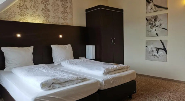 Двухместный номер Business Hotel Stadt Steinheim