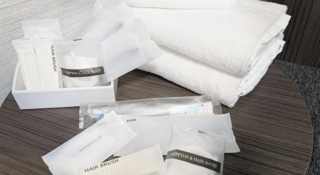 Одноместный номер Superior Art Hotel Narita