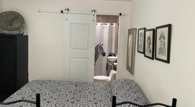 Zebra Studio