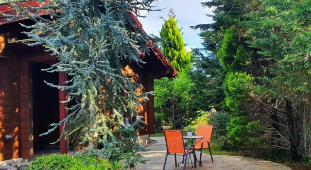 Luxury Wooden Villa with Pool, The Nest