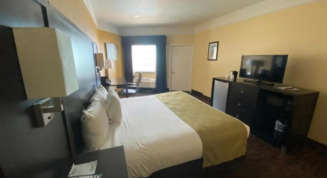 Одноместный номер Standard Galveston Beach Hotel
