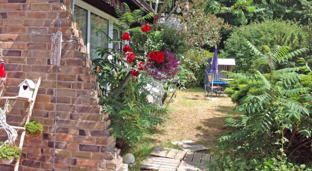 Коттедж Ferienhaus Koserow USE 3351
