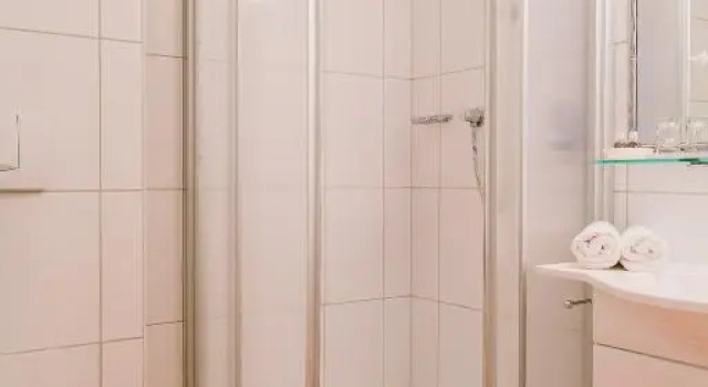 Номер Economy Alpenhotel Regina