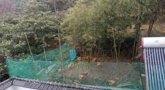 Lingyunge B&B, Book Bed and Breakfast Hoteller i Suzhou med parkering, Parkering