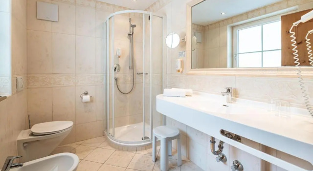 Двухместный номер Standard Hotel Scherlin
