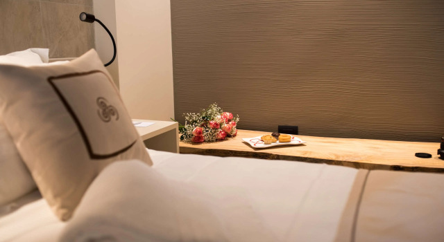 Двухместный номер Superior Best Western Plus Hotel Terre di Eolo