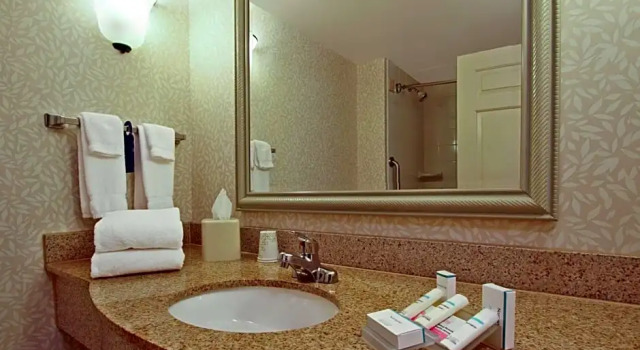 Четырёхместный номер Premium Hilton Garden Inn Chesapeake Greenbrier