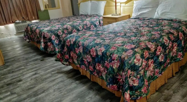 Люкс Travelers Inn - Clearwater