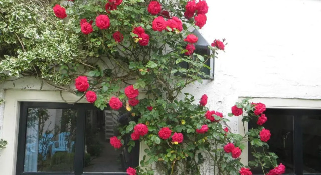 Apple Tree Cottage - discover this charming canal home in our idyllic garden, Đặt Nhà nghỉ dưỡng Gouda Zuid-Holland