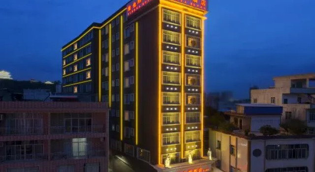 Vienna Hotel (Pingnan Central Plaza store)
