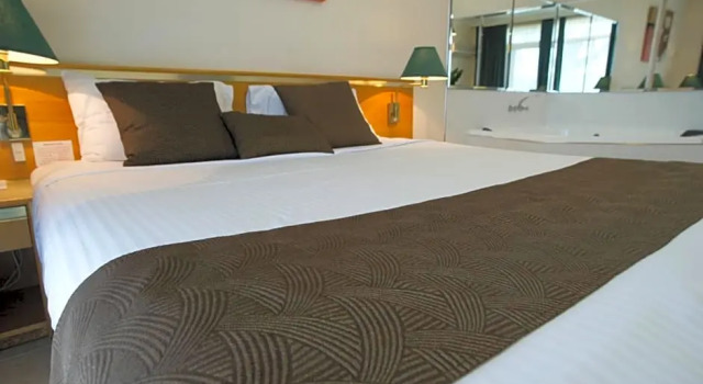 Двухместный люкс Mid City Motor Inn Singleton