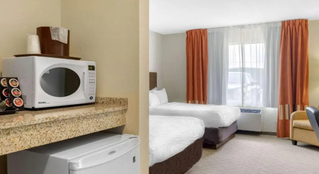 Четырёхместный номер Standard Quality Inn & Suites