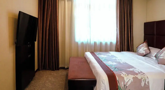 Двухместный люкс Deluxe Shenzhen Century Kingdom Hotel