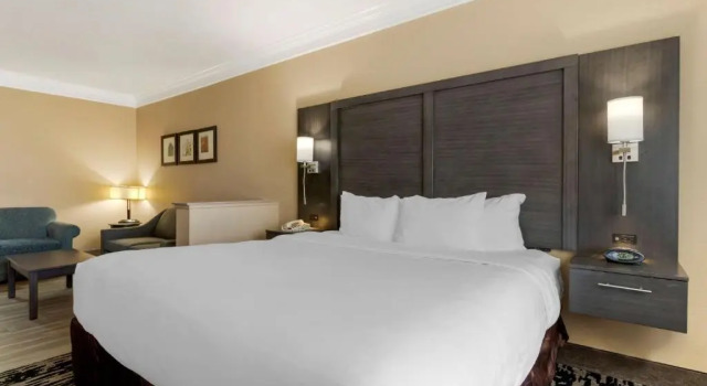 Люкс Comfort Suites Kingwood, Humble, New Caney, Houston IAH Airport