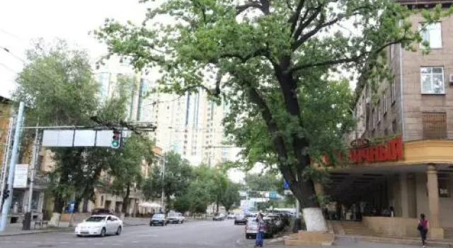 Apartment Nadezhda at Kabanbay Batyra 122