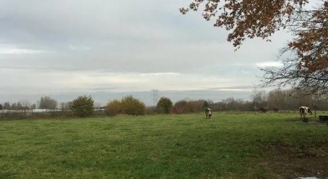 De Blije Big, Réserver Hôtel Son en Breugel Brabant-Septentrional